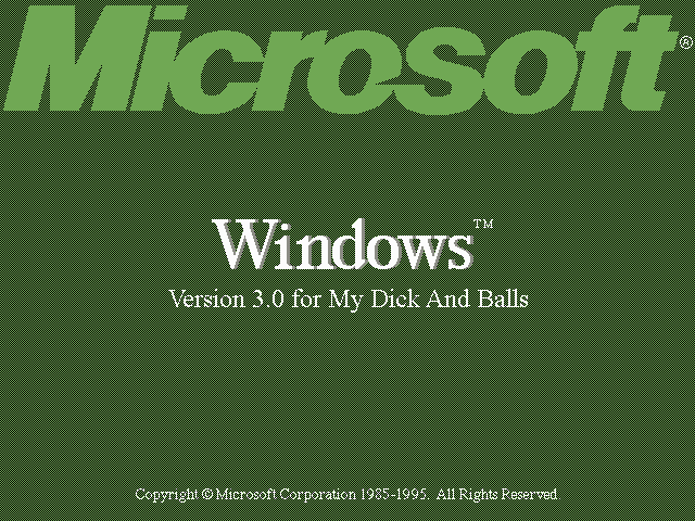 Windows 3.0 for My Dick And Balls